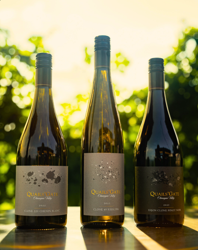 Three luxury wine bottles made of deep coloured glass sit on a wooden table with sunlight seeping in from a canopy of leaves behind them, all three wine bottles are made by Quails Gate Winery in the Okanagan Valley.